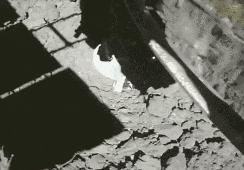 Ryugu Sample