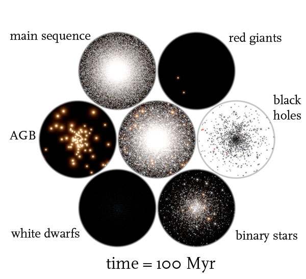 globular cluster t = 100 Myr
