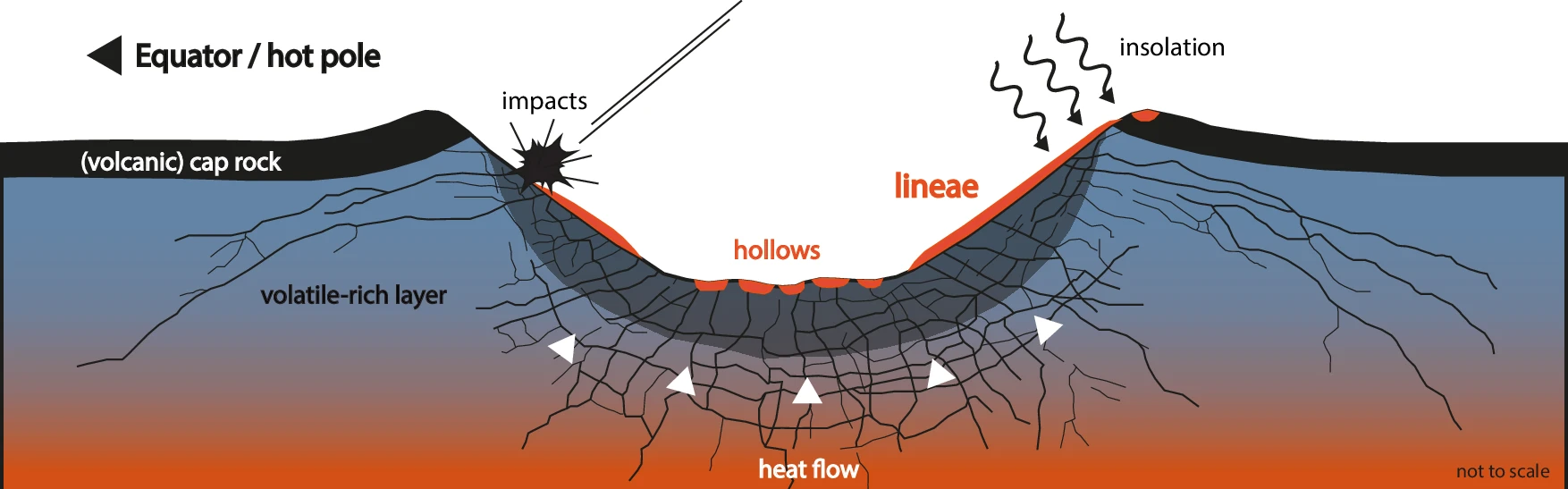 Diagram of impact, fractures, and lineae
