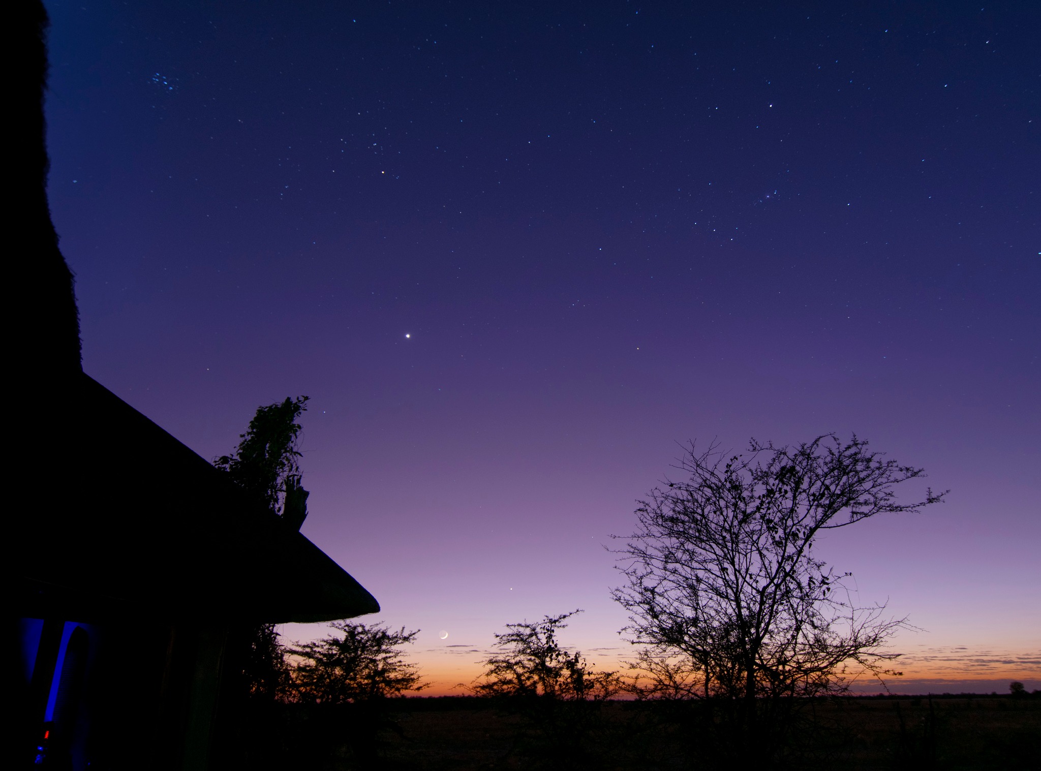 a purple sky over treetops, with a few bright pinpricks and a crescent Moon