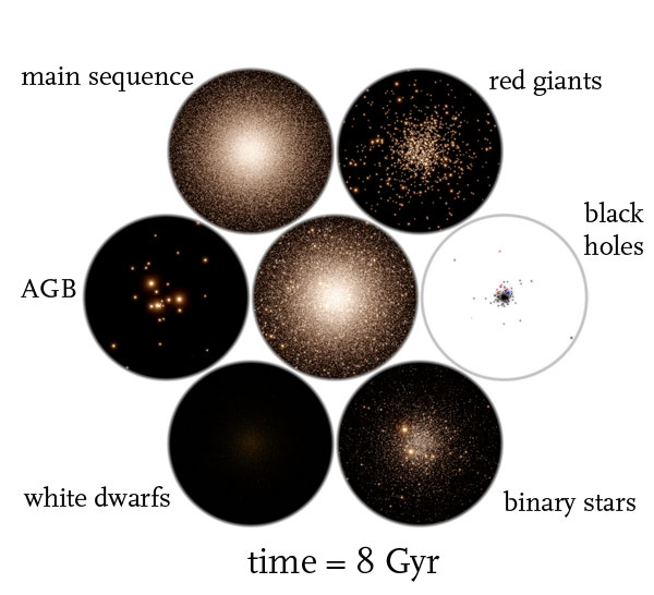 globular cluster simulation time = 8 Gyr