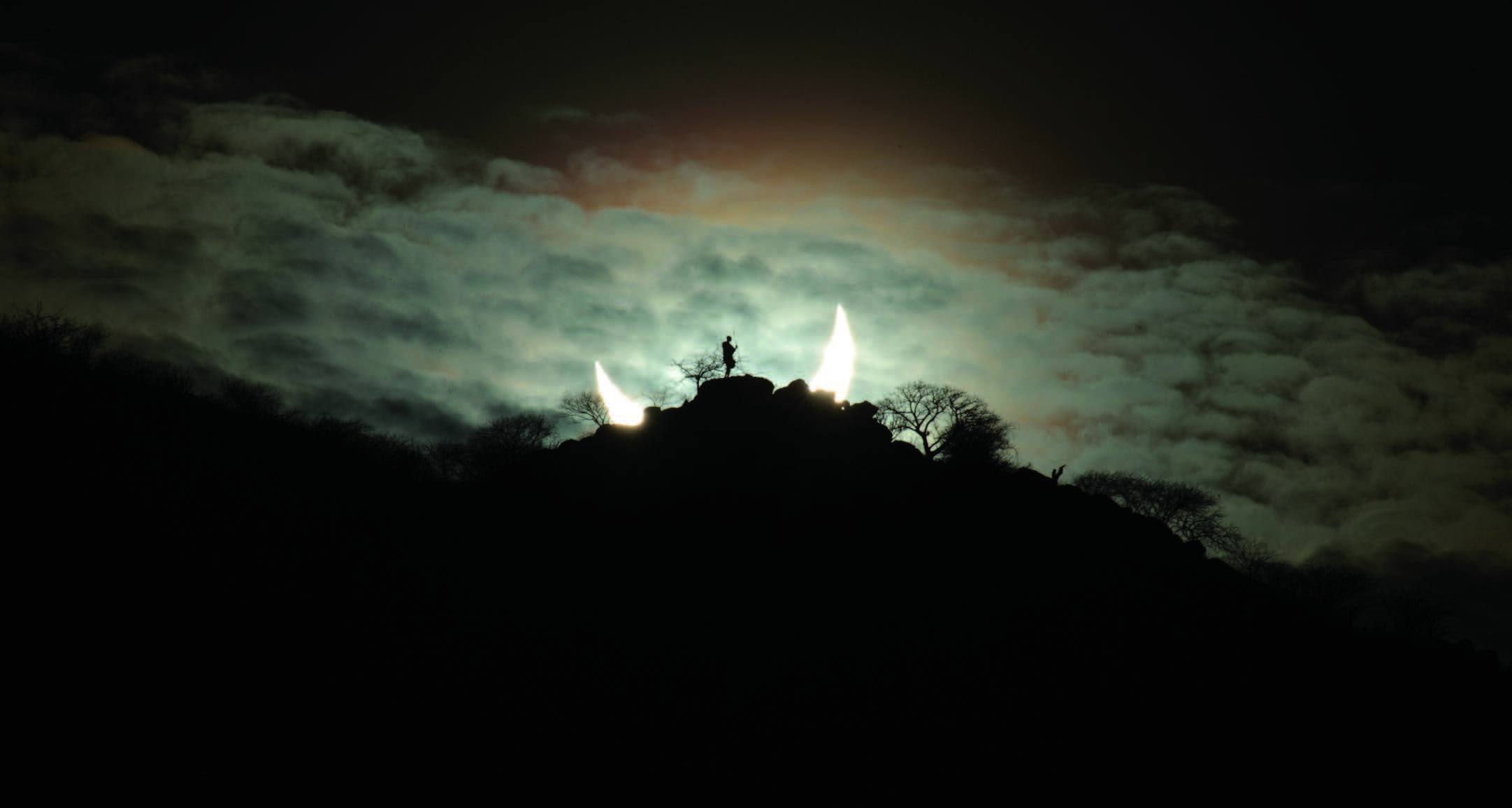 partial eclipse rising through trees
