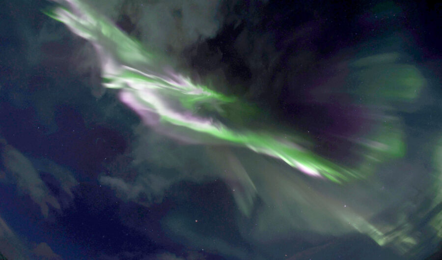 Brilliant, bird-like aurora