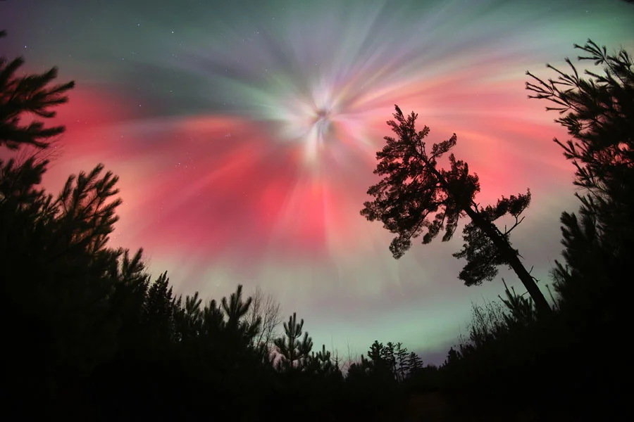 Corona aurora