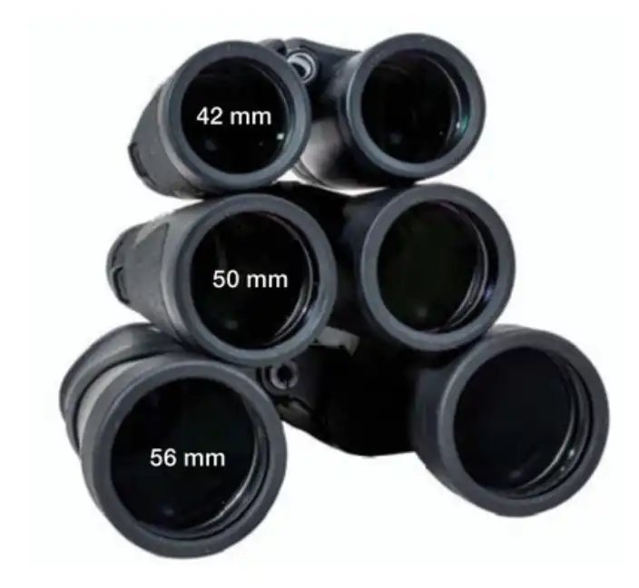 Three binoculars with different apertures