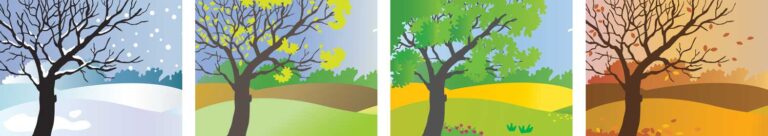 four panels each with a tree in a different season