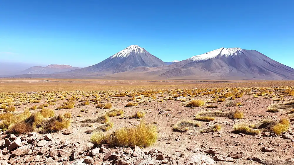 Scrubby bushes dot the Chajnantor plain with snow-capped mountains in the distance