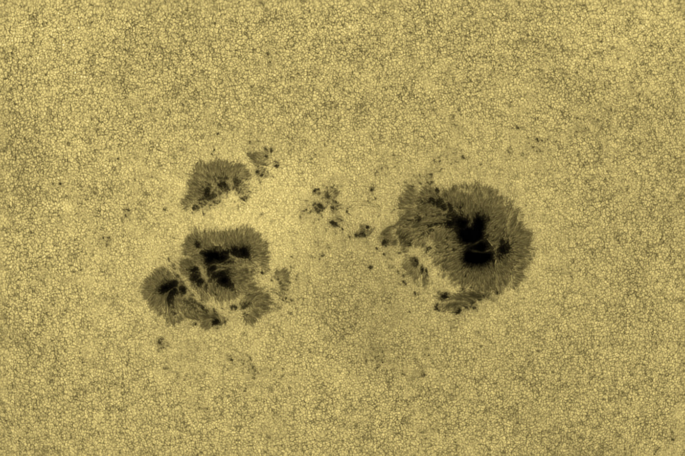 AR4478 Giant Sunspot group