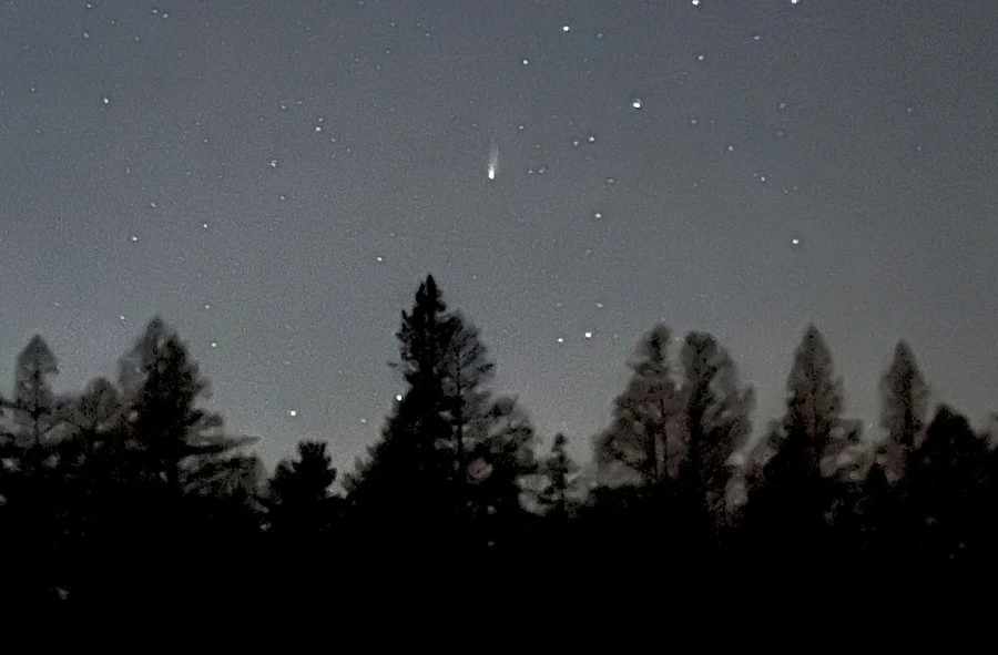 Cellphone image of Comet Lemmon