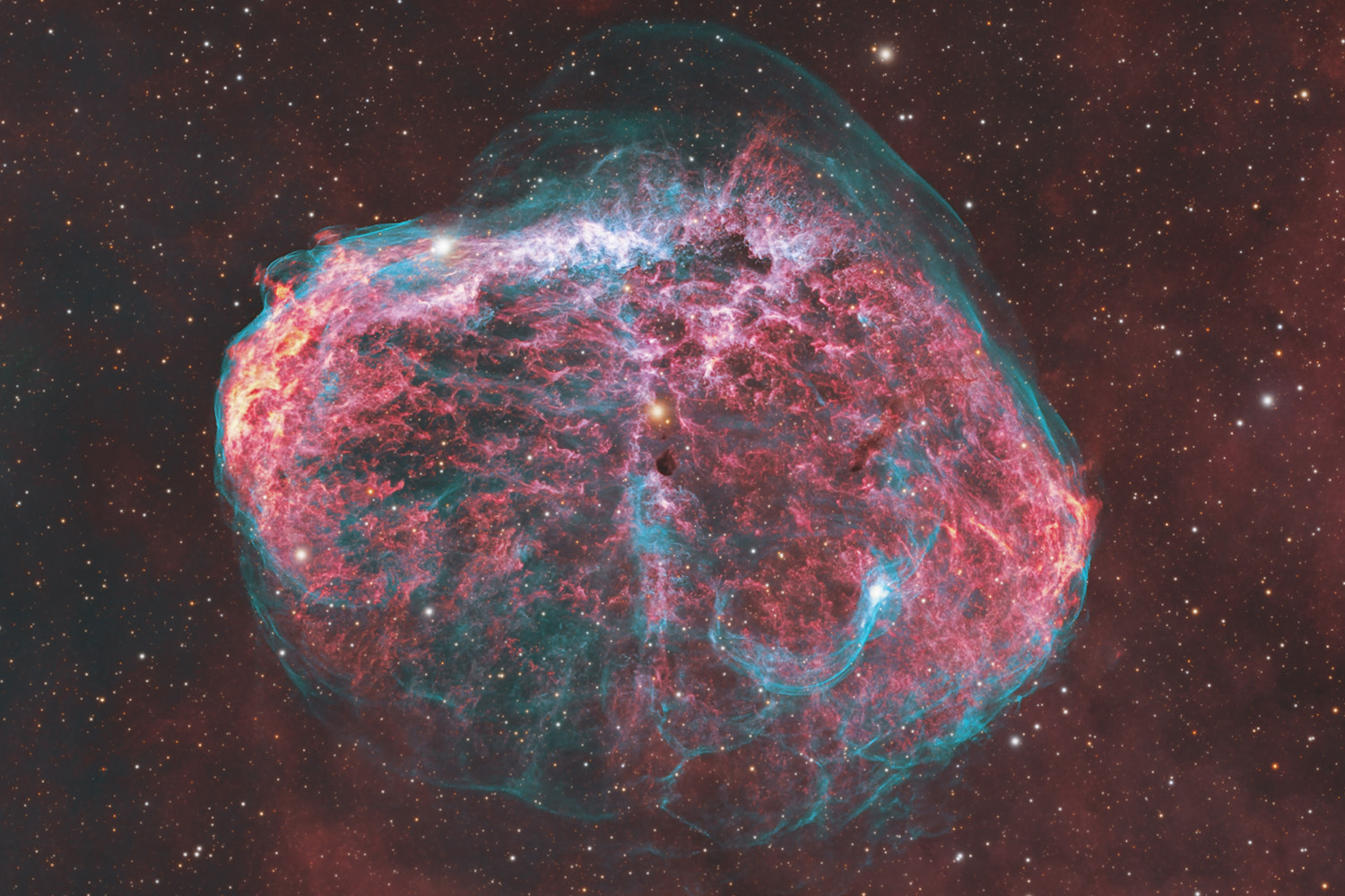 【4枚組】NGC MS66 2025 SpecialWrapCollection noirlab2219b.jpg
