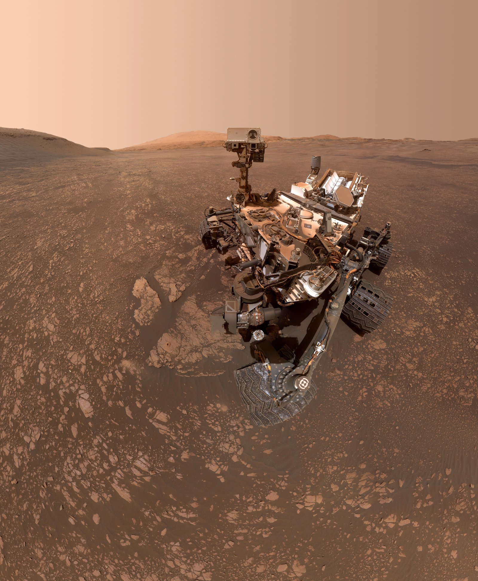 Curiosity selfie