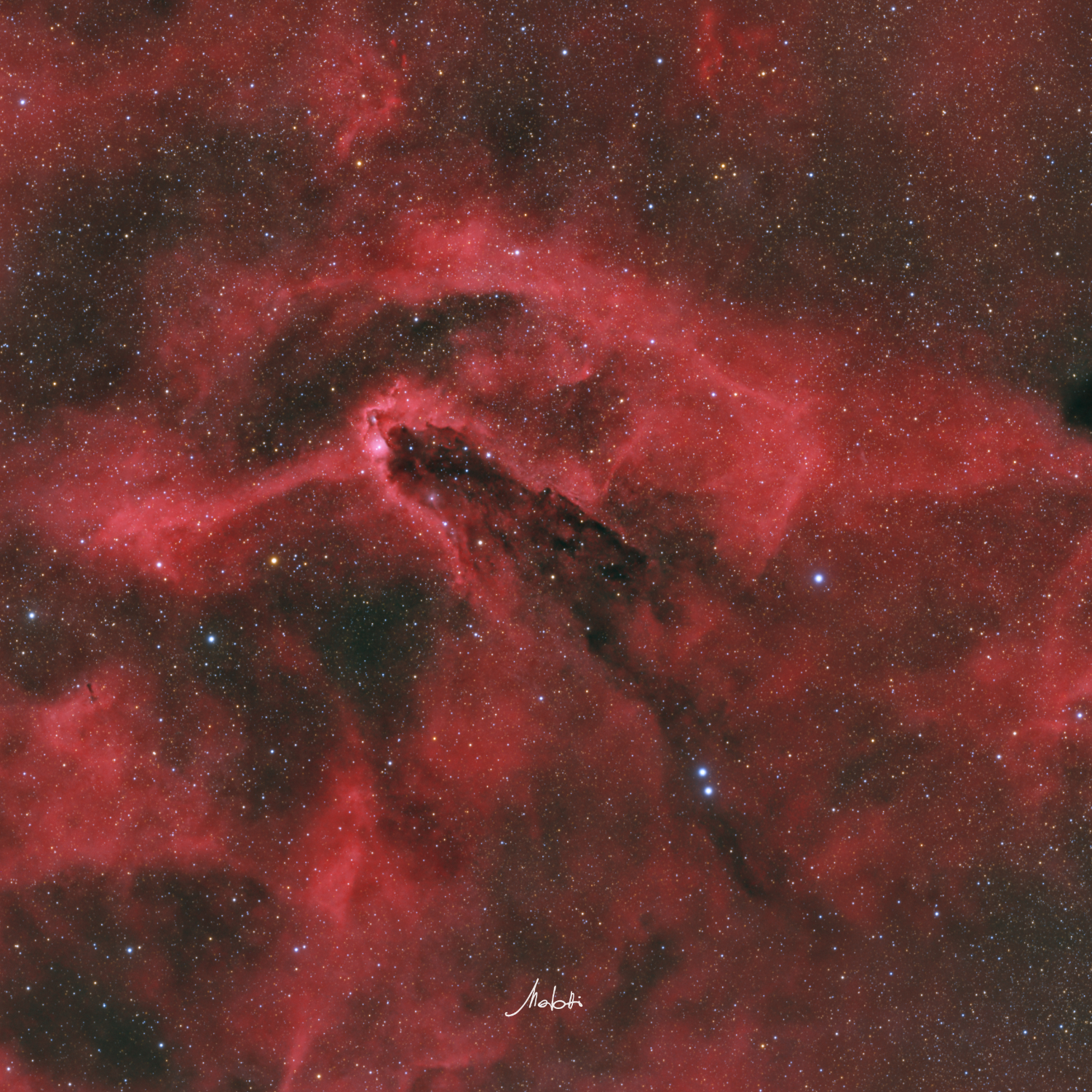 The Dark Tower in Scorpius