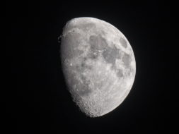 Gibbous Moon