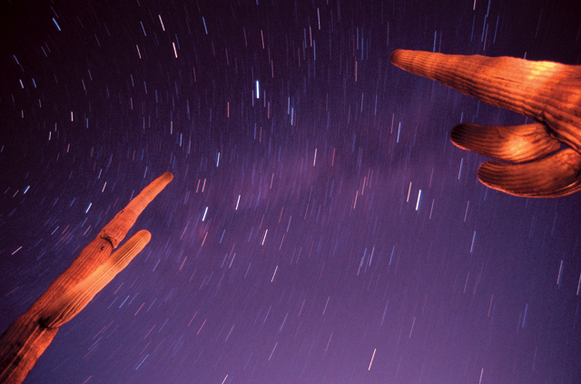 Cactus and Summer Triangle