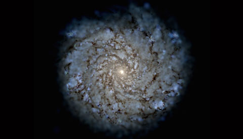 Simulated galaxy from FIRE cosmological simulation