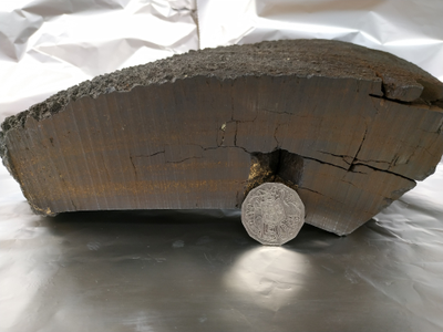 A piece of ferromanganese crust