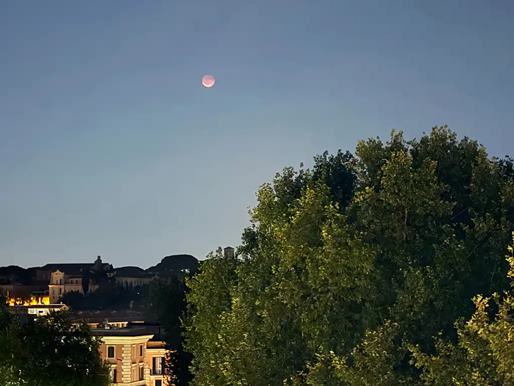 Reddish Moon over trees
