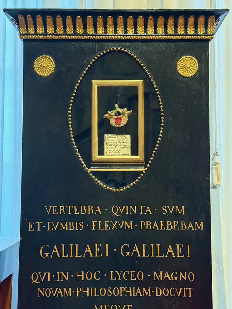 Plaque