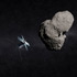 FireFly approaches asteroid