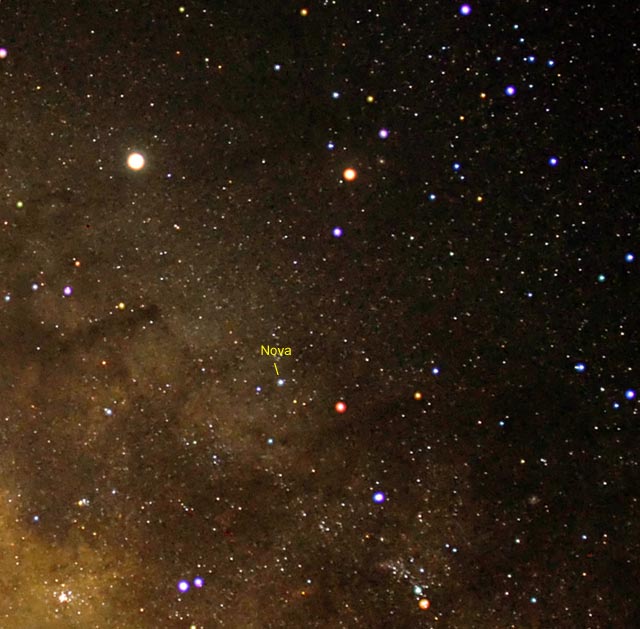 Scorpius closeup
