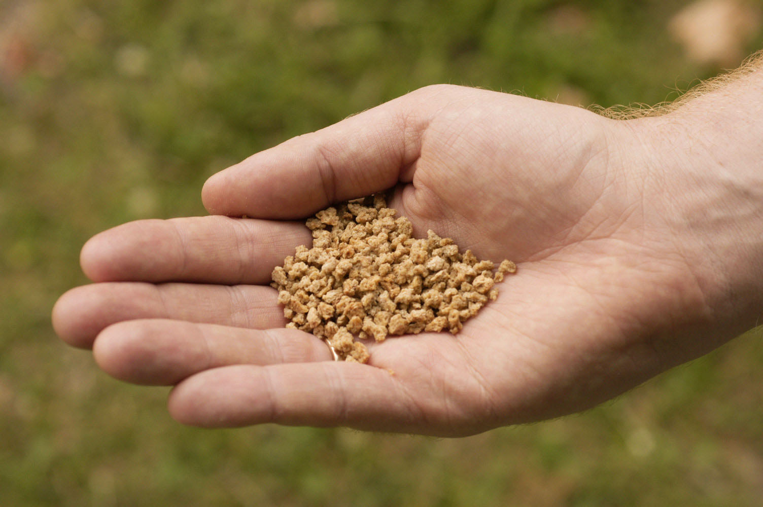 Pepitucce di cereali Grape Nuts