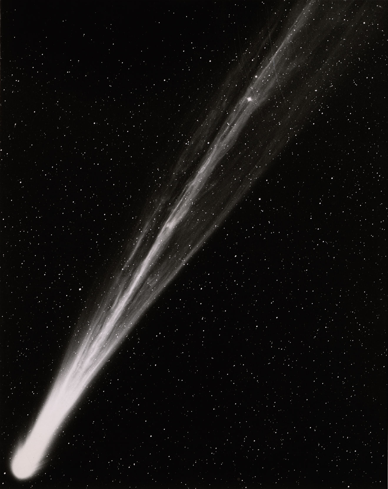 Black and white photo of a long comet with a bright nucleus.