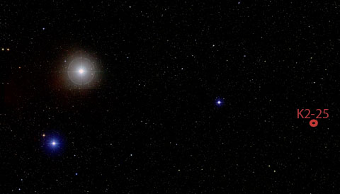 red dwarf in Hyades