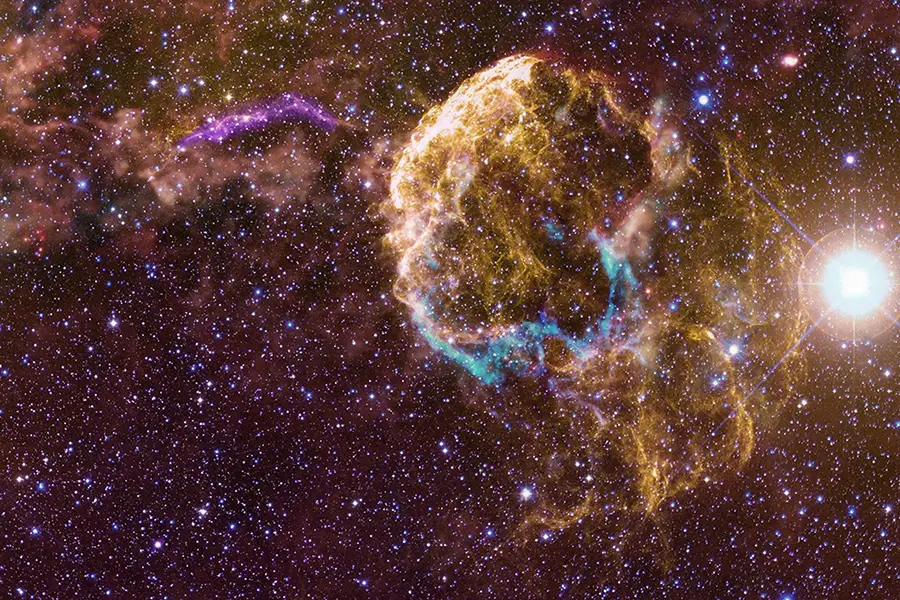 Multiwavelength image of Jellyfish Nebula