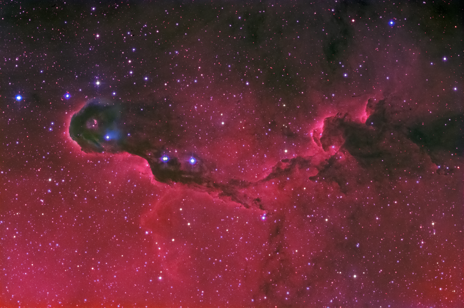 The Elephant Trunk & Napoleon on Horseback Nebulae  