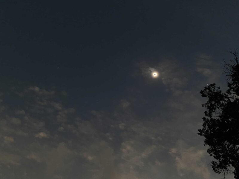 a small yellow disk above the silhouette of a tree against a dark sky with clouds scattered on the left