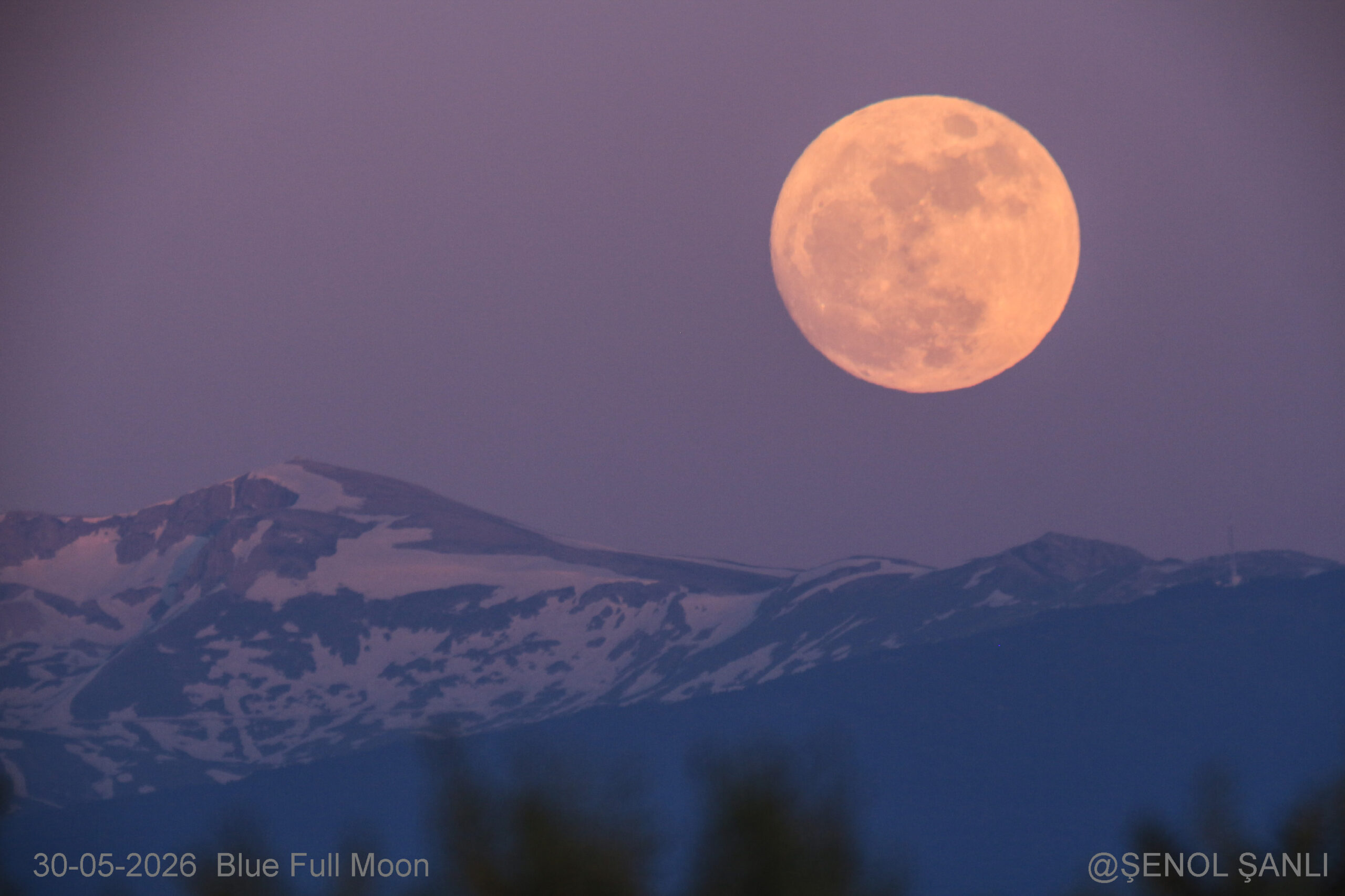Blue Full Moon  