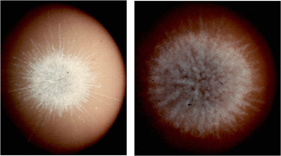 Images of Kingfish nuclear test
