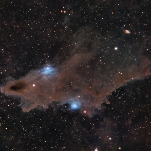 LDN 1235 - The Dark Shark  