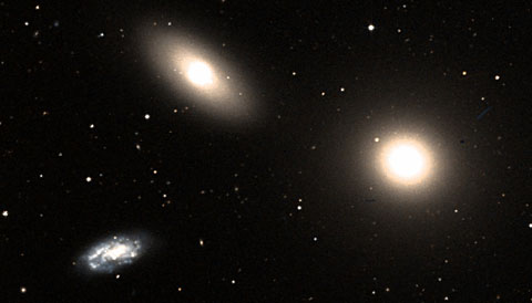Trio in Leo