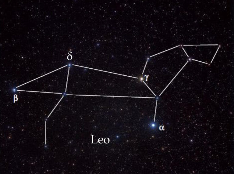 Leo_Fujii-768x570 image