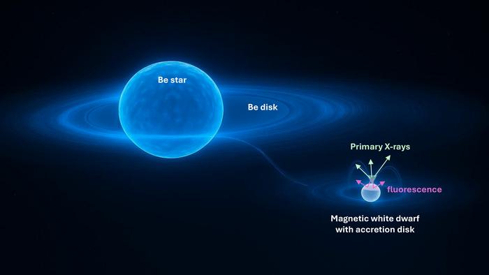 Diagram of Be star in binary system with white dwarf