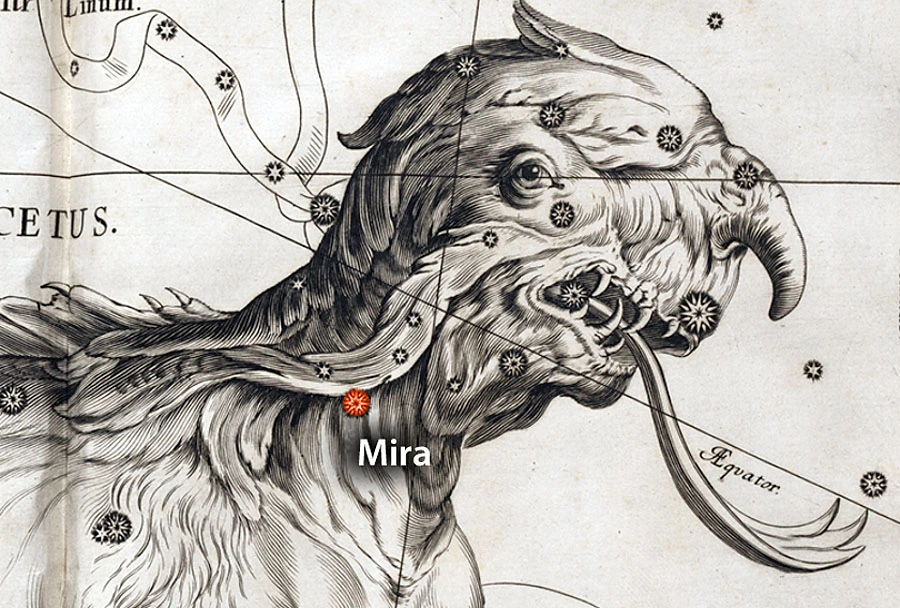 Hevelius atlas Mira
