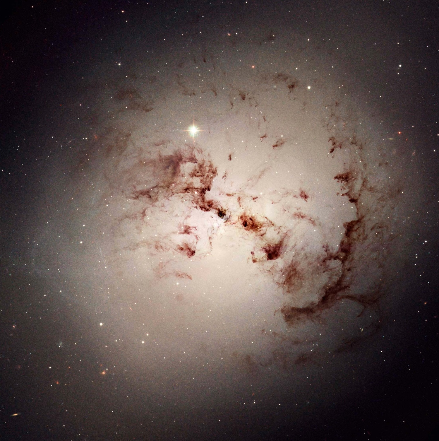 Giant elliptical galaxy