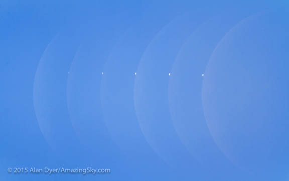 Venus by the Slice