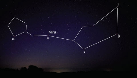 Cetus — Till Credner