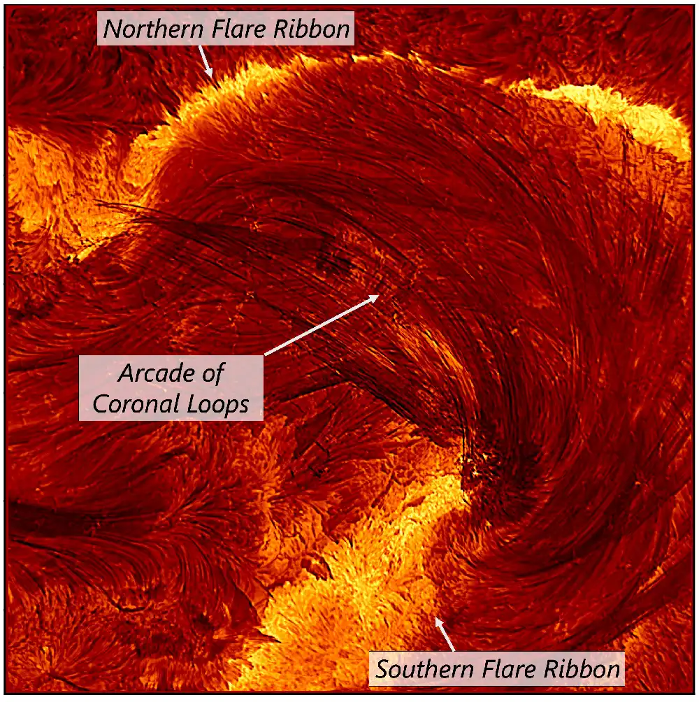 Loops in the solar corona