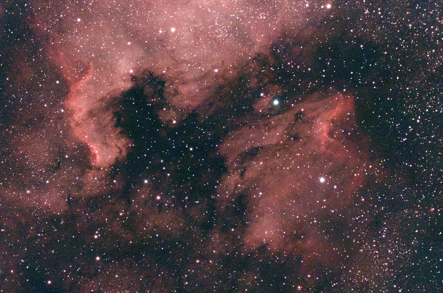 Pelican and North American Nebulae
