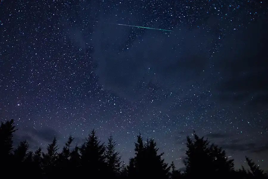 Perseid meteor shoots across the sky above a forest