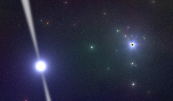 Pulsar and supermassive black hole