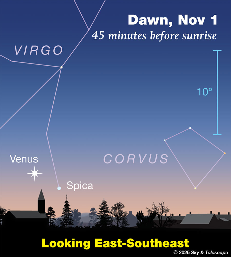 Venus and Spica low in the dawn, Nov. 1, 2025