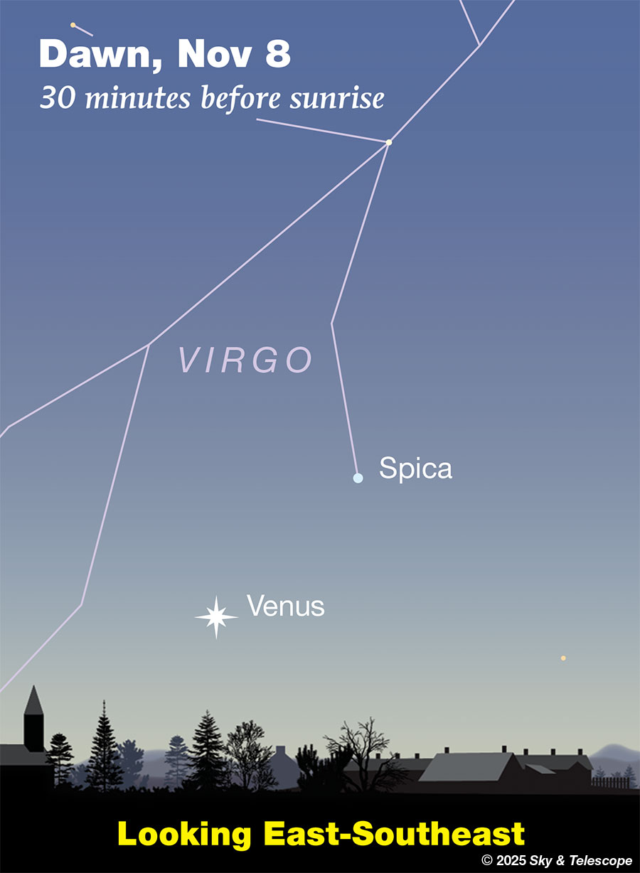 Venus and Spica low in the dawn, Nov. 8, 2025