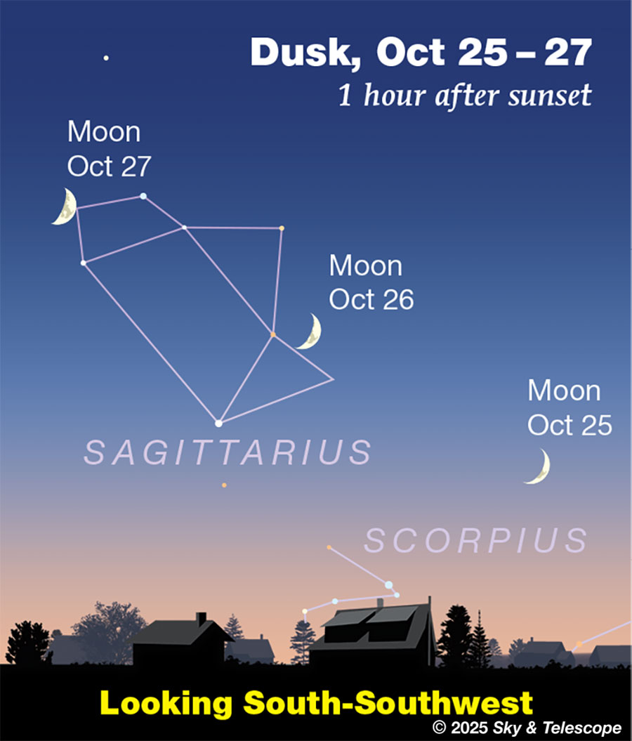 SMP_2025Vic_Oct26ev-NORM image