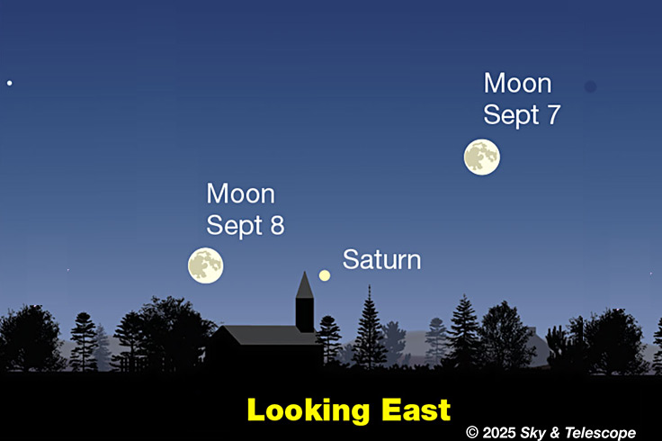 Full Moon and Saturn shining low in the east in twilight, Sept. 7-8, 2025