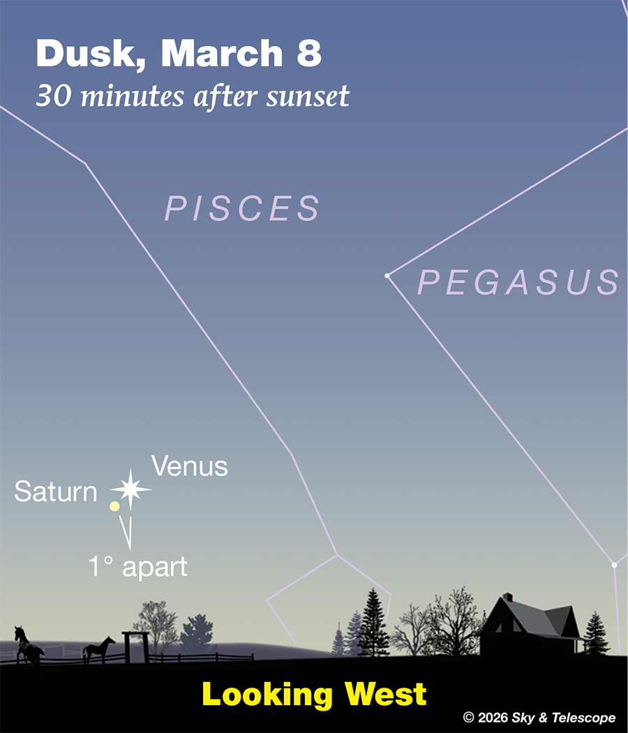 Venus and Saturn in conjunction low in the western twilight, March 8, 2026