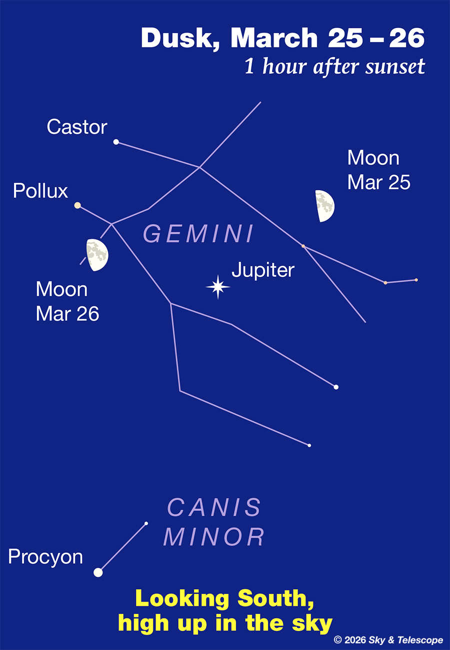 The first-quarter Moon high with Jupiter, Pollux and Castor, March 25 and 26, 2026